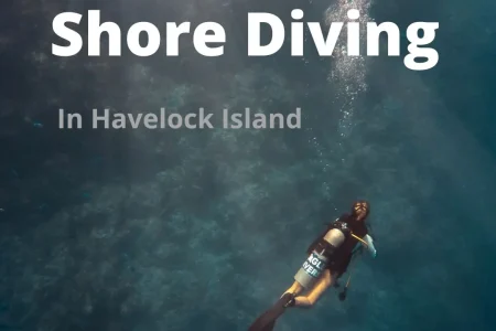 Shore Diving In Havelock Island