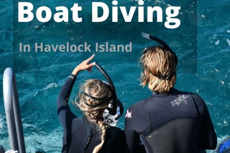 Scuba Diving In Havelock Island – Boat Diving